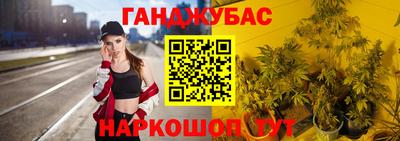 крисы Камышлов