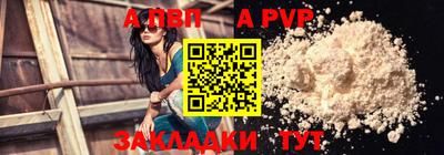крисы Камышлов