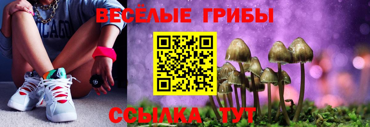 купить закладку  Галлюциногенные грибы Magic Shrooms  Людиново  Вход с VPN  Псилоцибиновые грибы Cubensis 