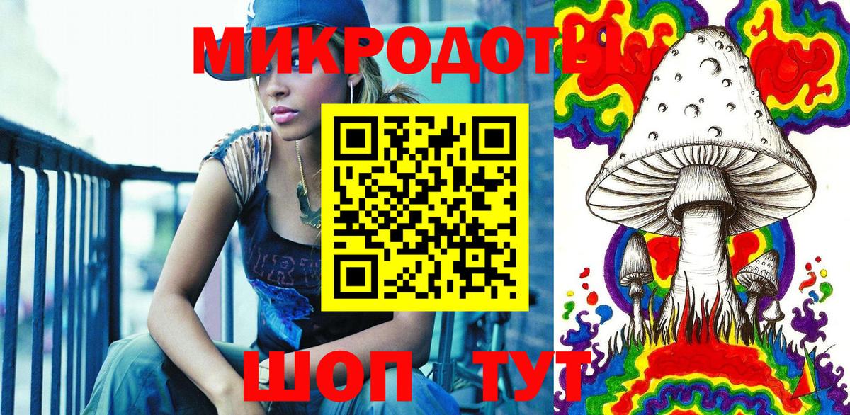 Галлюциногенные грибы Psilocybe Людиново